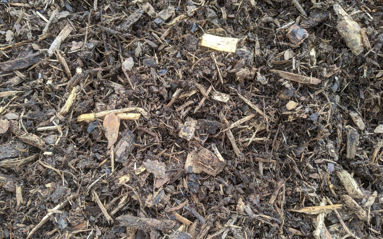 Pine Mulch
