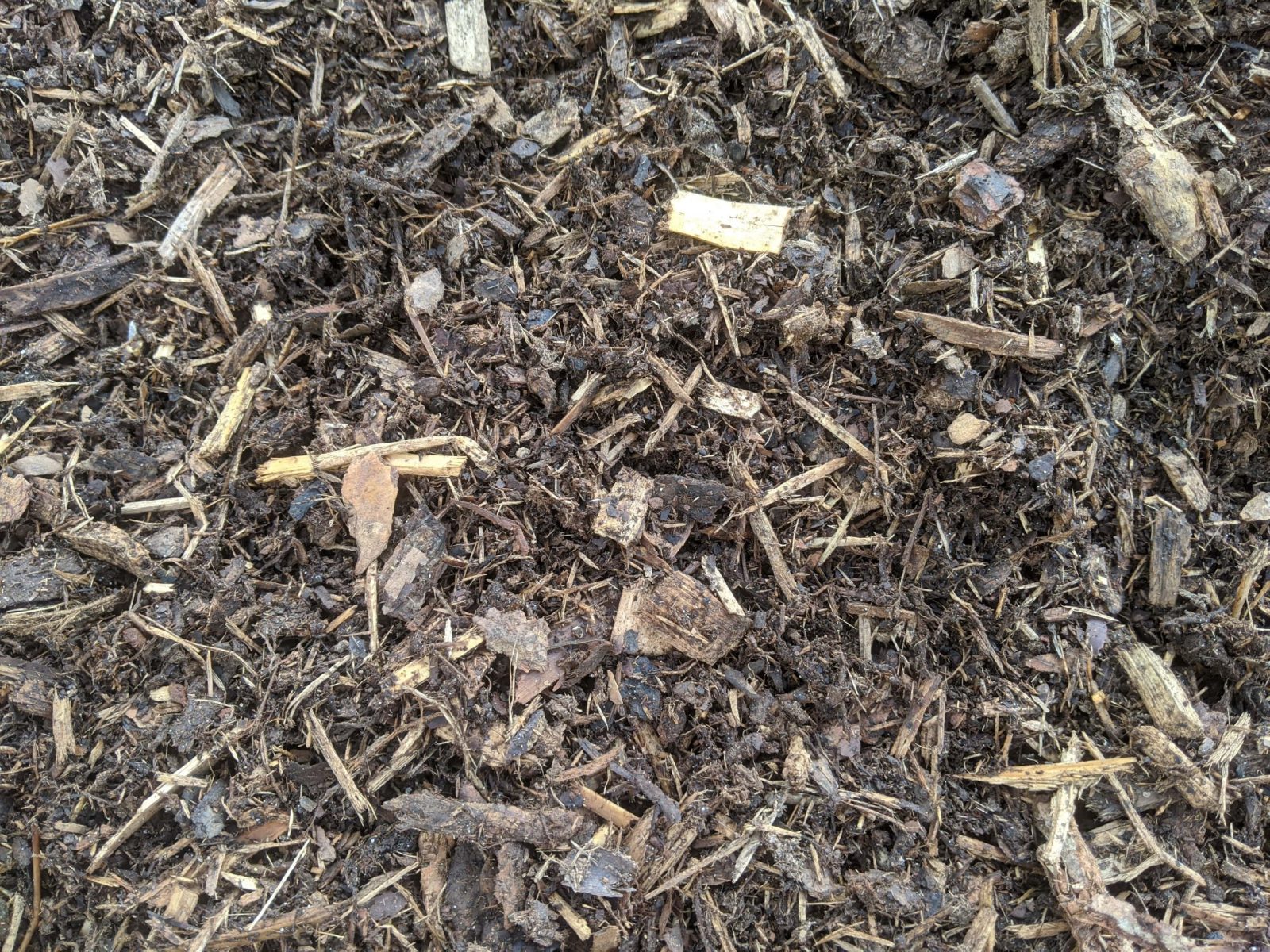 Pine Mulch